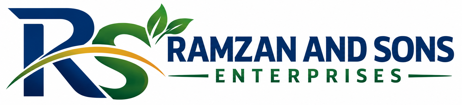 Ramzan and Sons Enterprises